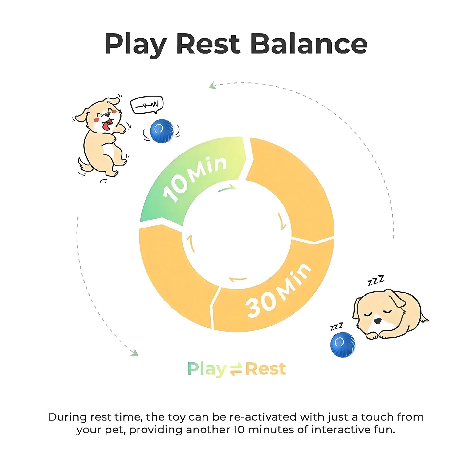 Interactive Bouncing Ball For Dogs - Treasure Mementos