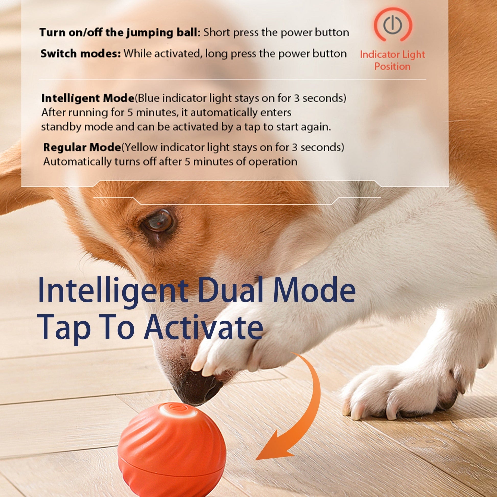 Interactive Bouncing Ball For Dogs - Treasure Mementos