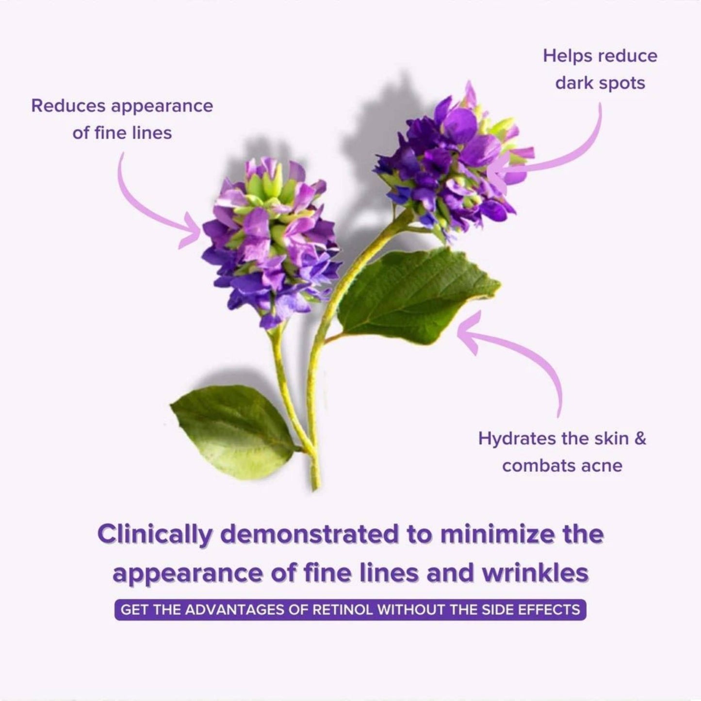Bakuchiol Eye Serum – Anti-Aging Retinol Alternative
