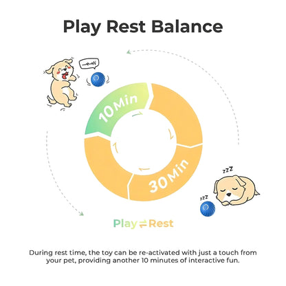 Interactive Bouncing Ball For Dogs - Treasure Mementos