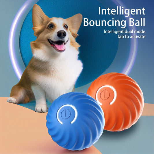 Interactive Bouncing Ball For Dogs - Treasure Mementos